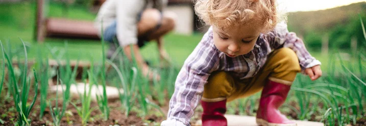 Kleines Kind pflanzt im Garten etwas ein.